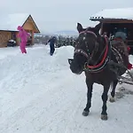 Pod Stara Podkowa Komfortowy Z Kominkiem Ferienhaus *