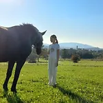 Pod Stara Podkowa Komfortowy Z Kominkiem Limanowa