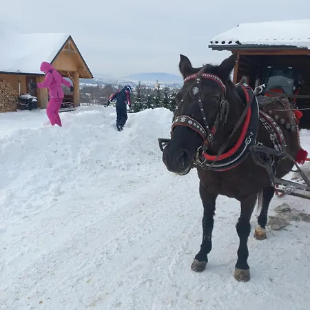 Pod Stara Podkowa Komfortowy Z Kominkiem Nyaraló *