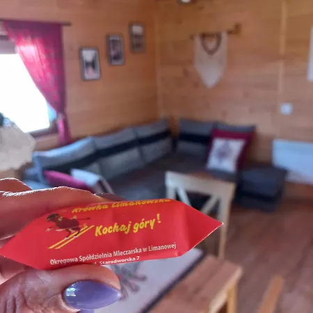 Komfortowe Z Kominkiem - Nowy Sacz Holiday home Limanowa