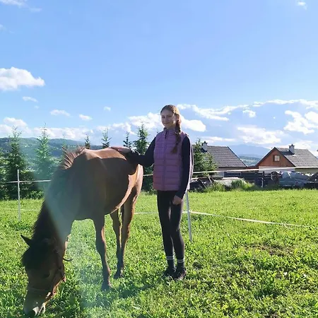 Pod Stara Podkowa Komfortowy Z Kominkiem Ferienhaus Limanowa